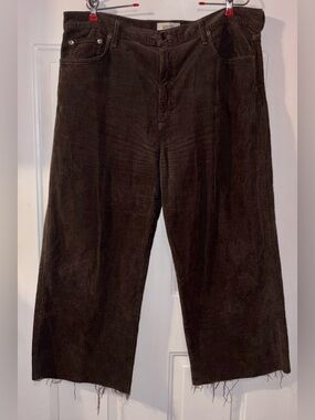 Agolde Harper Corduroy Wide Leg Raw Hems Jeans size 34W